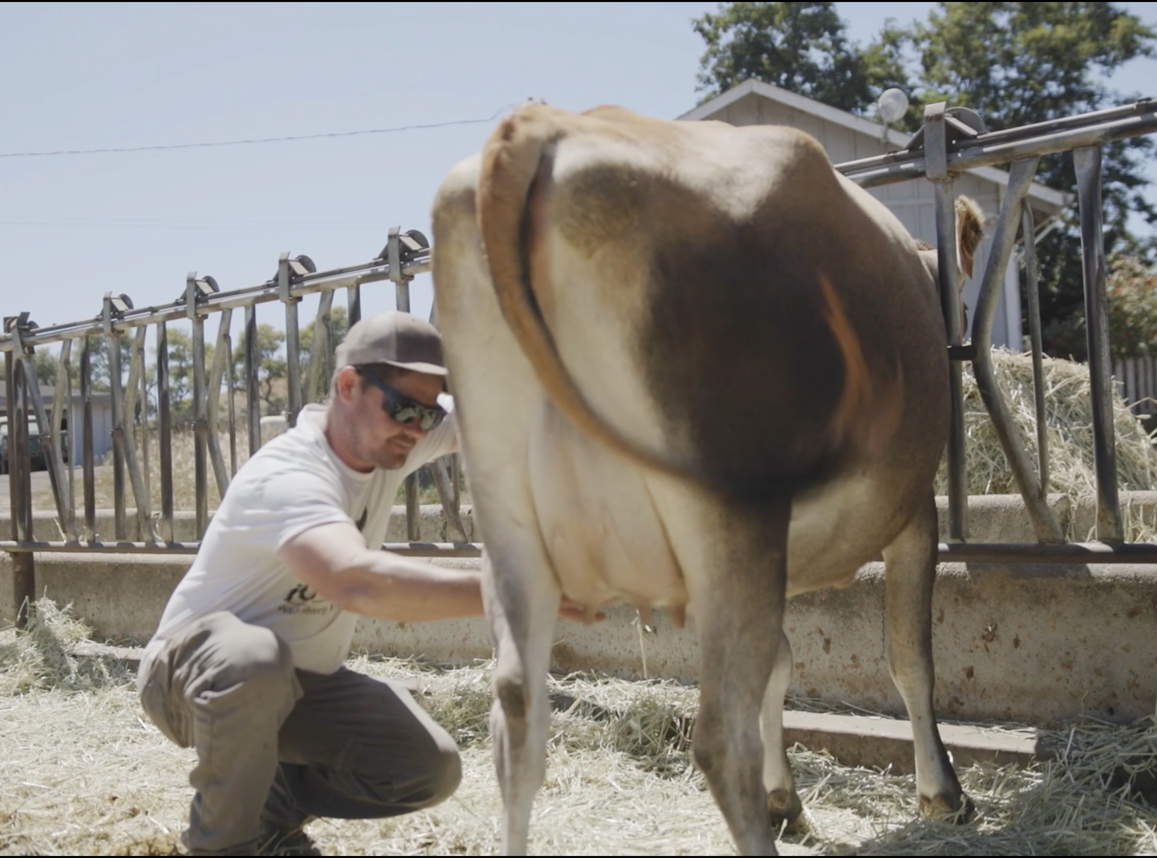 Nexa's data-driven insights dashboard